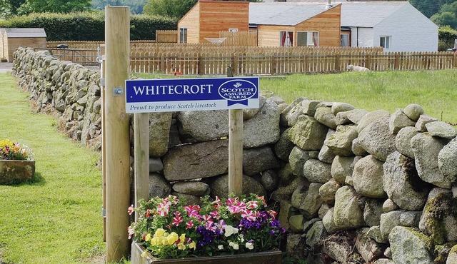 Myrtle Cottage - 28177