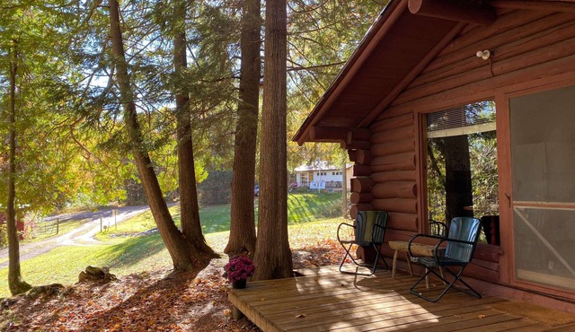 Nelja (#4) - Cabin on Otter Lake, Manninen's Cabins