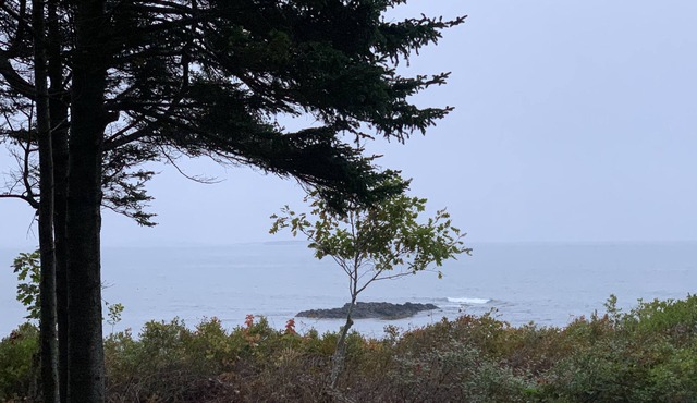 Nest del Mar-Gorgeous Classic Maine Camp on the Ocean
