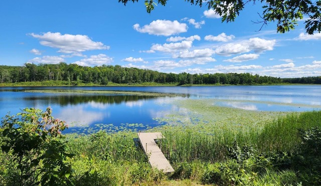 New, cozy and quiet 2-bedroom lake house near Walker/Leech Lake
