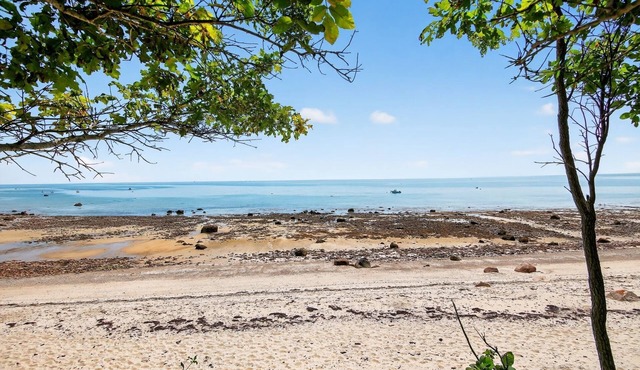 NEW! Ocean Views & Private Beach 3BR Nature Escape