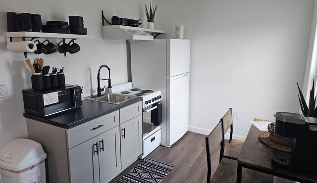 Newly remodeled single king modern apartment