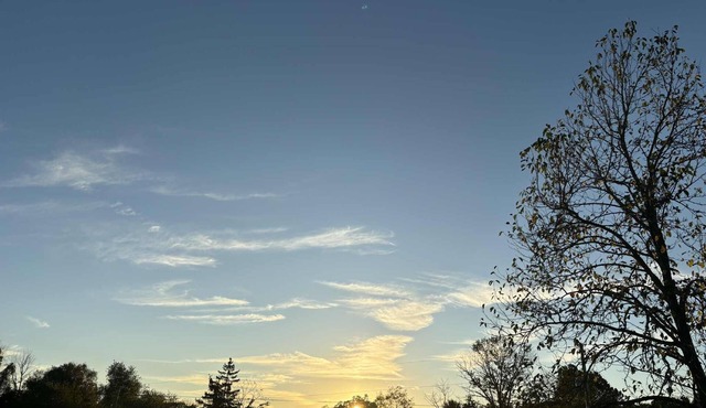 Newly Remodeled & Stylish Guest Hideaway on Private Acreage: Sleeps 6