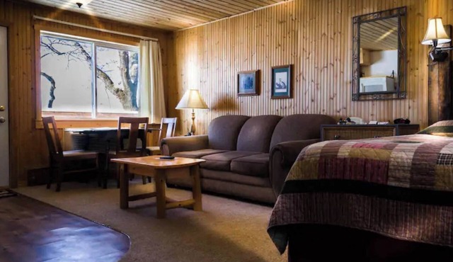 Observe nature in Room 9 - Audubon's Ducks - Curriers Lakeview Lodge