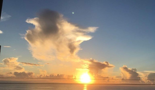 Ocean front condo with direct ocean view in quiet Ormond by the Sea