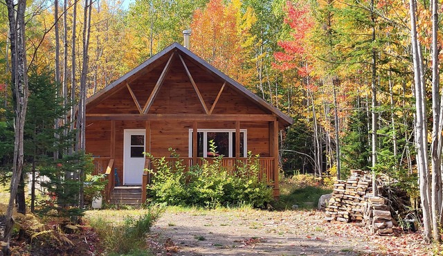 Off grid cottage in the woods. Peaceful,in nature, pet friendly. no electricity