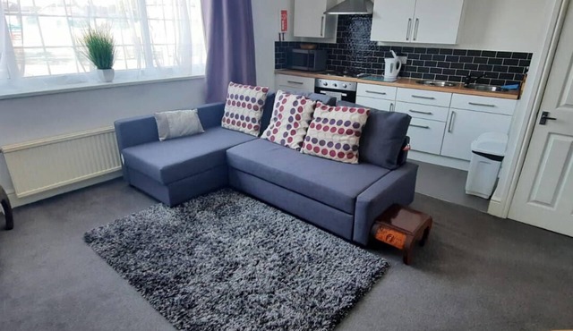 Old Barrington Arms - Apartment 1