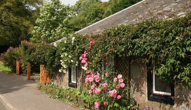Old Toll Cottage -Delightful Cottage