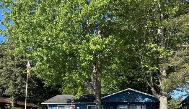 One Polski Cottage on Intermediate Lake