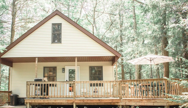 Peaceful Woodland Cabin Near Ludington & Pentwater