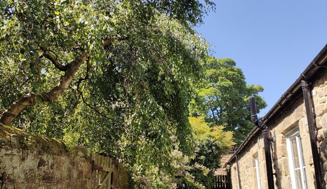 Pele Cottage - pretty two‑bedroom, ground‑floor cottage with a private garden
