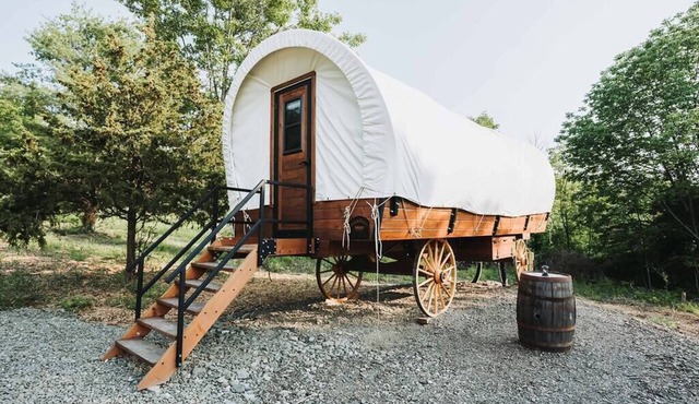Pet Friendly Keuka Wagon