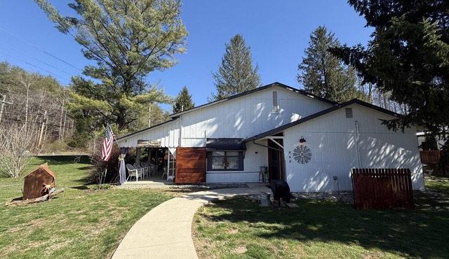 Pet-friendly, renovated, walk to downtown.