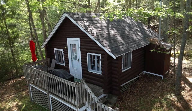 Pine Grove Cottages: Cottage 3: Studio Cottage - Pet Friendly