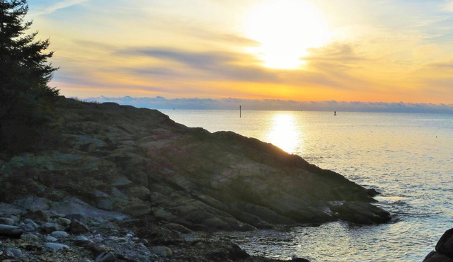 Pointed Fir Cove Cottage - Stunning Ocean Front Retreat!