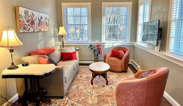 Private Cozy 1-bedroom with Mt. Washington View close to Hospitals