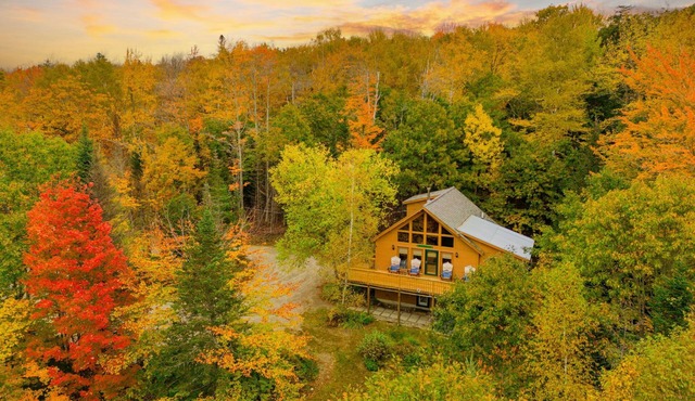 Private dog-friendly lodge with hot tub, mountain views, and fenced-in yard