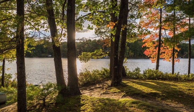 Quiet and Peaceful 3 Bedroom Family Cottage on Lake George, 12 Miles to TC