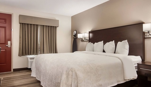Relax and Unwind! Pet-Friendly Accommodation with FREE Parking!