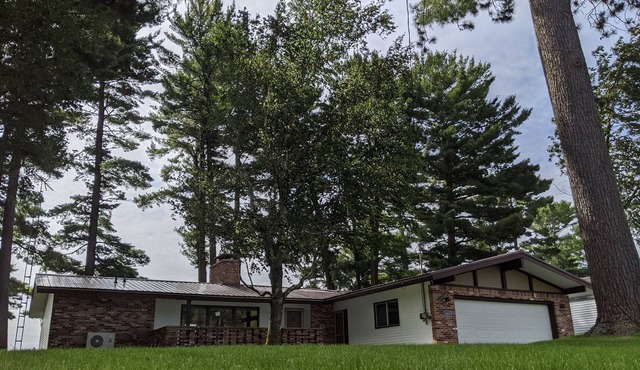 Relax Under 100' Tall Pines At Your Stay On Otsego Lake