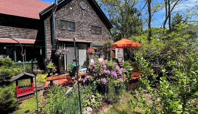 Relaxing clean cozy spacious artsy S. Wellfleet home delightful inside and out