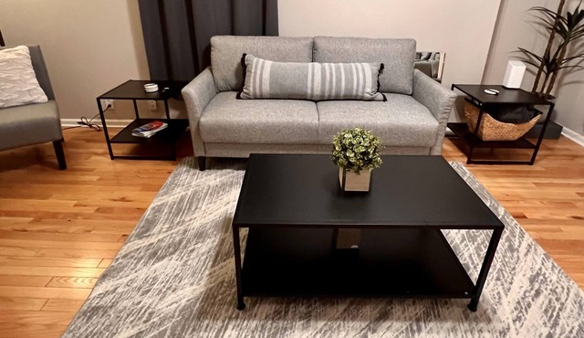 Remodeled 3BD/2BA Home close to MSU/Spartan Stadium