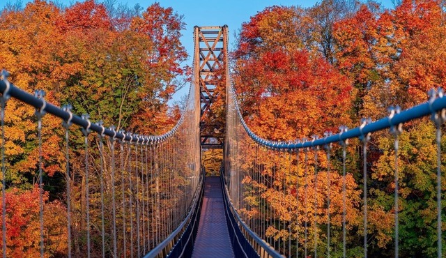 RETREAT NORTH — SAUNA + HOT TUB + HIKING & PADDLING — BELLAIRE, TORCH & BOYNE!