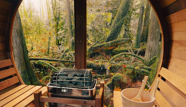 RETREAT NORTH — SAUNA + HOT TUB + HIKING & PADDLING — BELLAIRE, TORCH & BOYNE!