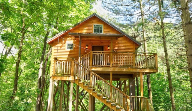 Romantic Treehouse Getaway with Treetop Views