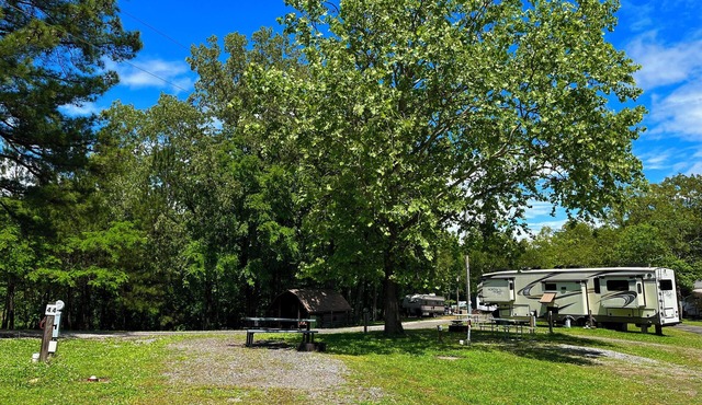 RV Site #40 Pull Through- camping 55ftx37ft