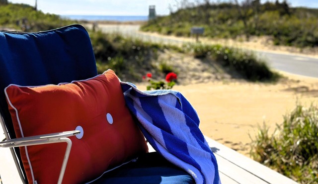Sand Bar-Dog Friendly on Cooks Brook Beach