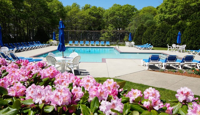 Sea Mist Resort