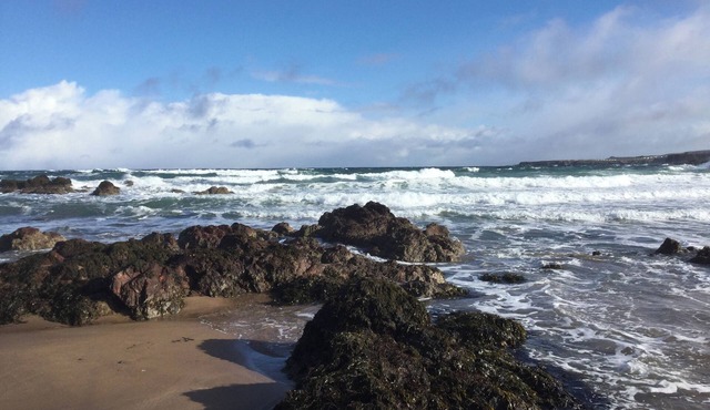 Sea Spray