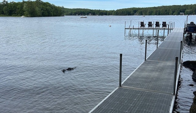 Sebago Sanctuary Lakeside Haven - LAKEFRONT LIVING in style!