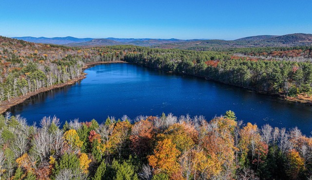 Secluded, dog-friendly home near pond with private hot tub, huge deck, & firepit