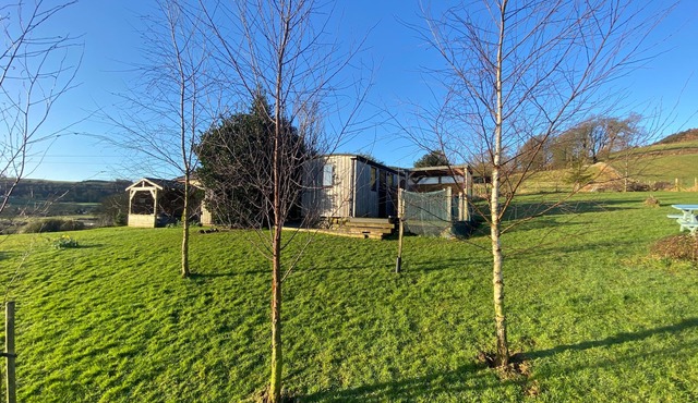 Shepherds Hut-hot tub hire, dog friendly