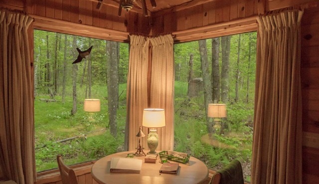 Shire In The Woods