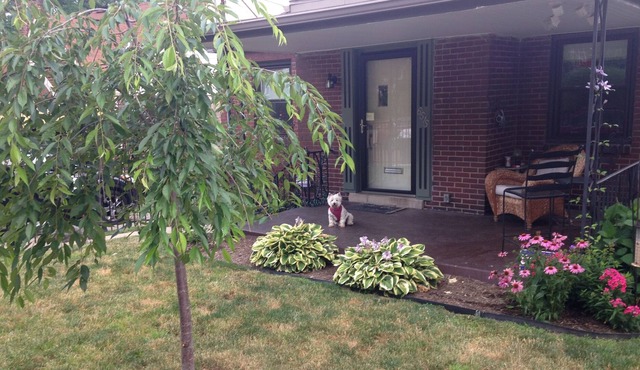 Single Family Bungalow Near Universities, Hospitals- Long / Short term