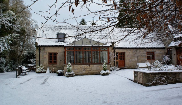 Smiddy Lodge - Sleeps 2 - sleeps 2 guests in 1 bedroom