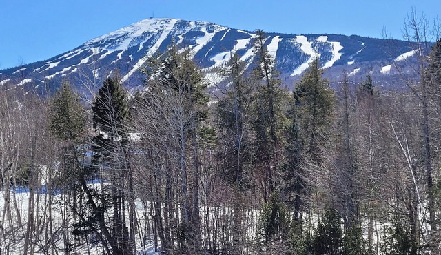 Snowbrook: Ski in/out access with pool, hot-tub, and sauna for après ski!