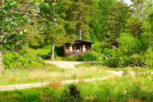 Solstice Cabin
