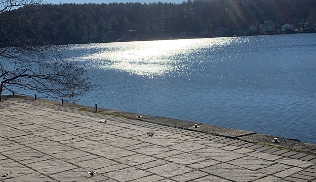 Southern New Hampshire lakefront
