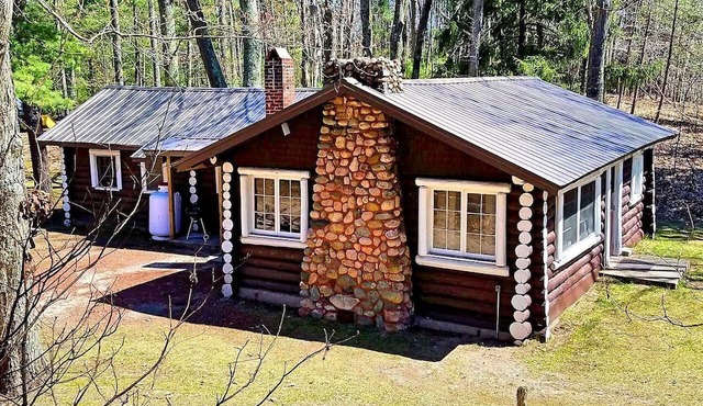 Spacious Family-Friendly Log Cabin with Lake Views near Cadillac, Michigan