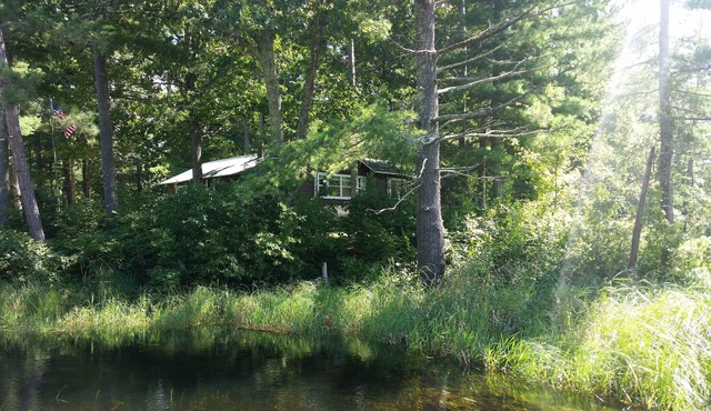 Spider Creek Country Cottage - Cozy cottage close to lakes, trails, and more!