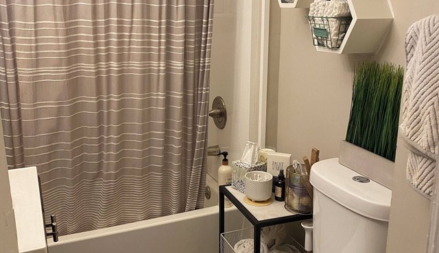 Stylish and comfortable! House close to downtown Akron.