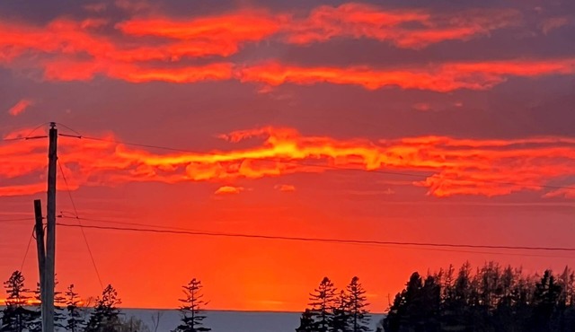 Sunset View