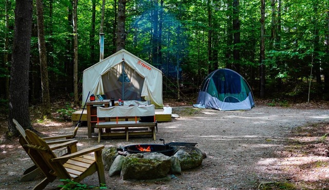 Tentrr State Park Site - Maine Bradbury State Park - Site 1 - Single Camp