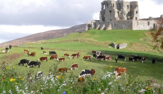 The Castle Byre, self-catering accommodation next to historic Auchindoun Castle