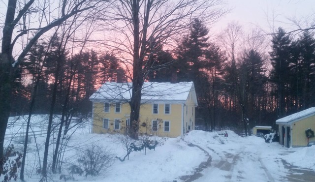 The Daffodil 1743 Getaway Apartment