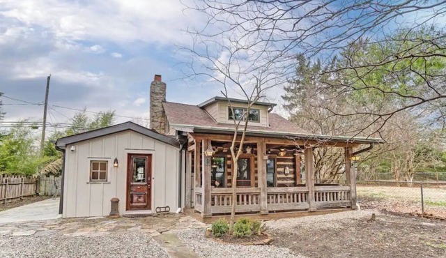 The Frog Cabin